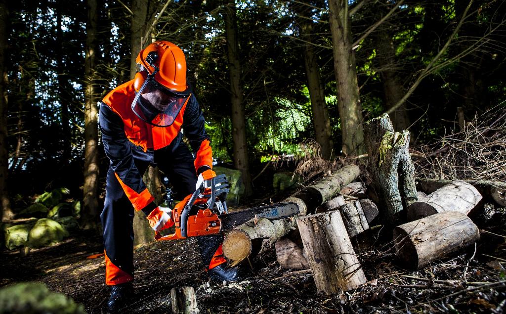 chainsaw man cutting tree in high vis workwear and safety helmet